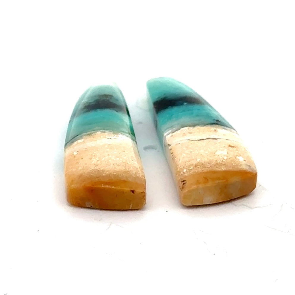 Matched Pair of Blue Opal in Petrified Wood Matrix - 16.18 Carats Total