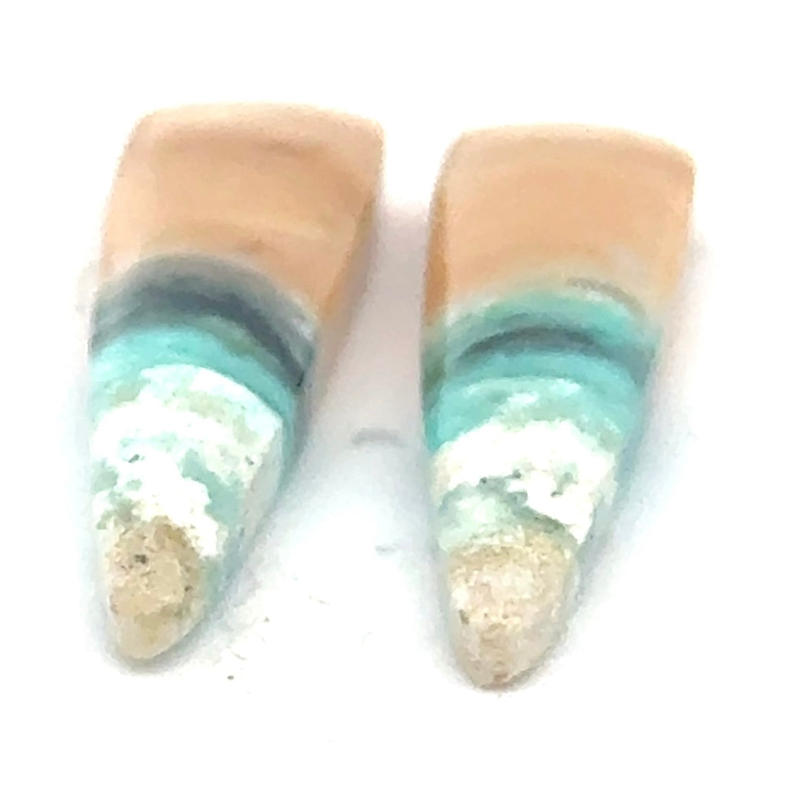 Matched Pair of Blue Opal in Petrified Wood Matrix - 14.28 Carats Total