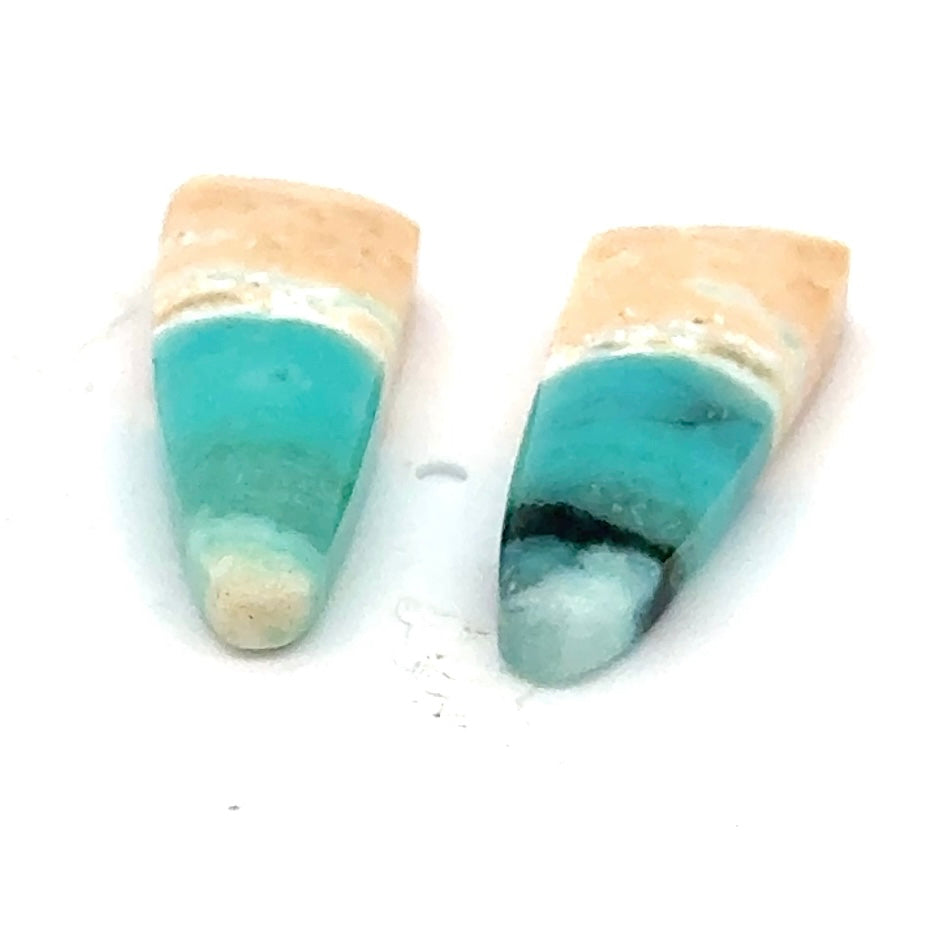 Matched Pair of Blue Opal in Petrified Wood Matrix - 12.17 Carats Total