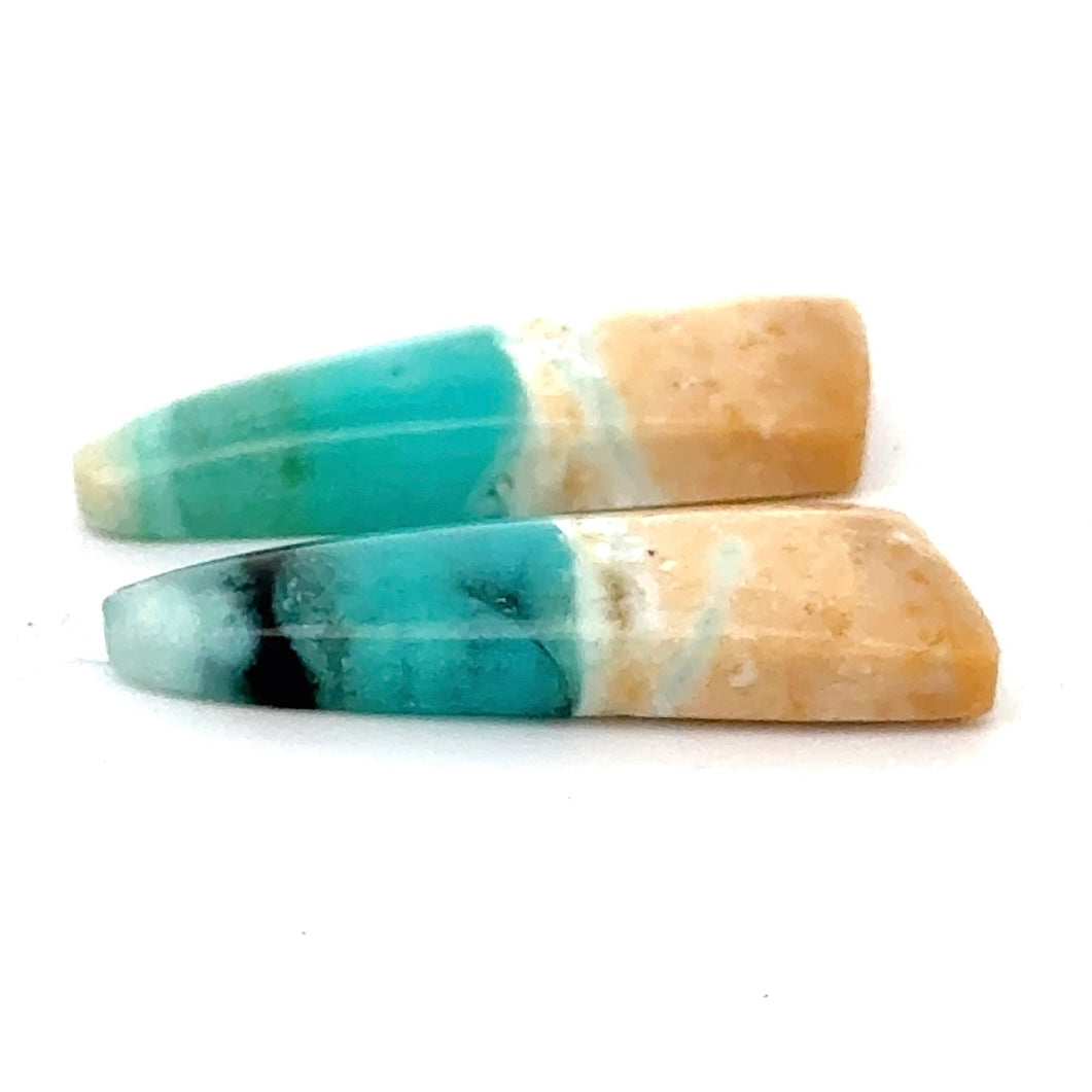 Matched Pair of Blue Opal in Petrified Wood Matrix - 12.17 Carats Total