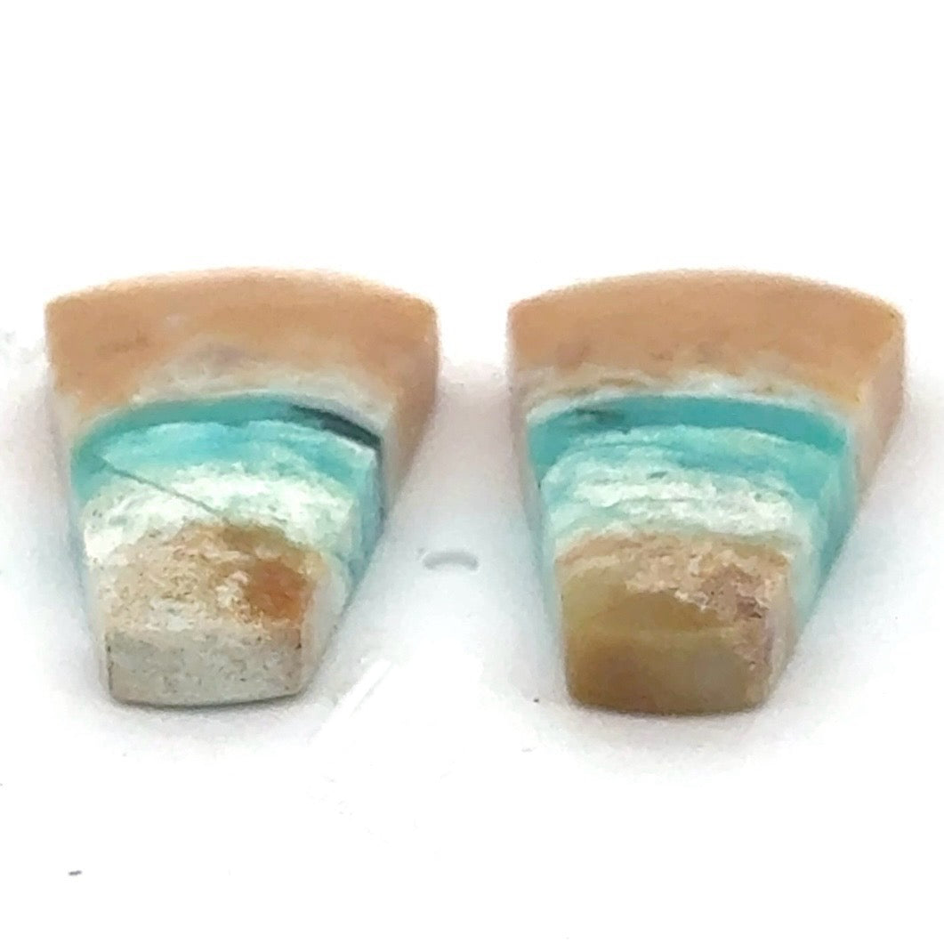 Matched Pair of Blue Opal in Petrified Wood Matrix - 15.39 Carats Total