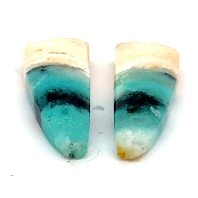 Matched Pair of Blue Opal in Petrified Wood Matrix - 16.18 Carats Total