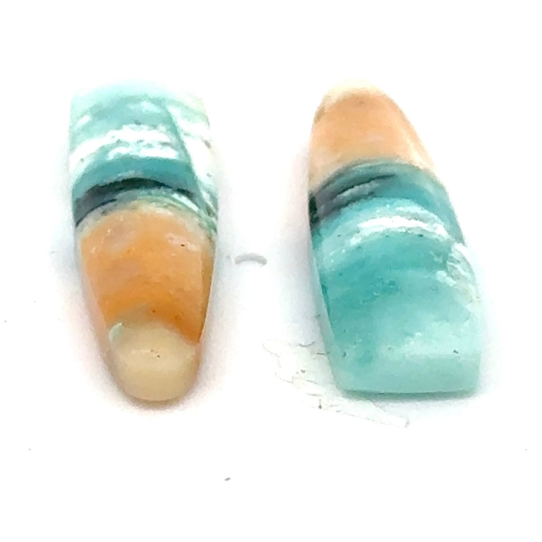 Matched Pair of Blue Opal in Petrified Wood Matrix - 14.41 Carats Total