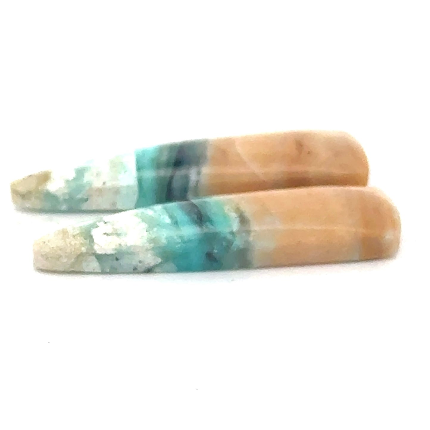 Matched Pair of Blue Opal in Petrified Wood Matrix - 14.28 Carats Total