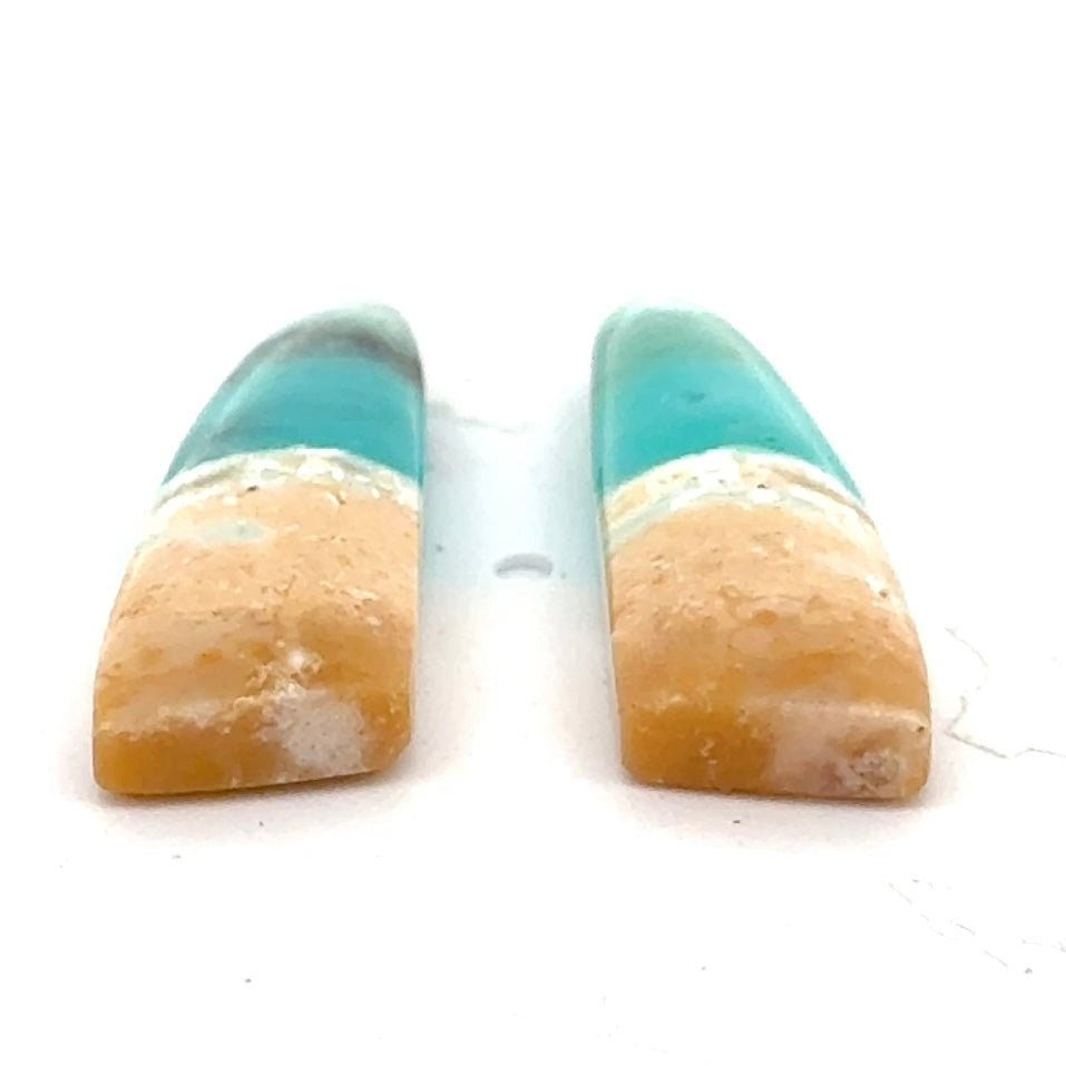 Matched Pair of Blue Opal in Petrified Wood Matrix - 12.17 Carats Total